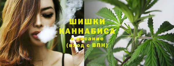первитин Заводоуковск